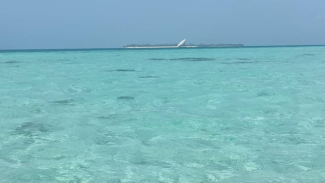 Foto 2 di Rodolfo P. sul noleggio di una Suzuki Vitara a Zanzibar (01/02/25)