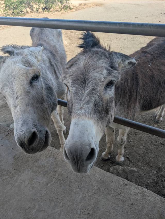 Photo 3 by Brent P. (2/8/26)