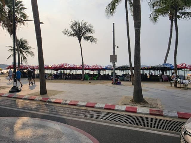 Photo 1 by jeremy S. (3/7/26)