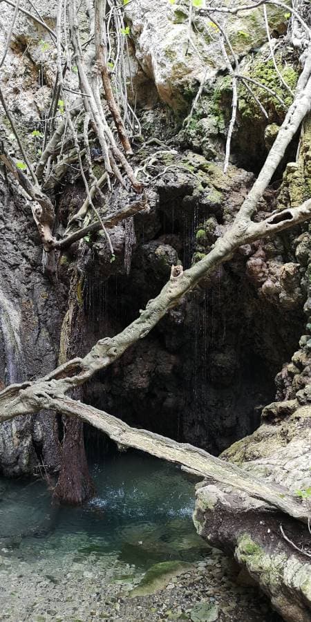 Zdjęcie 3 wykonane przez Tomasz Z. dotyczące wynajmu Kia Picanto w na Lotnisku w Pafos dnia (11.03.24)