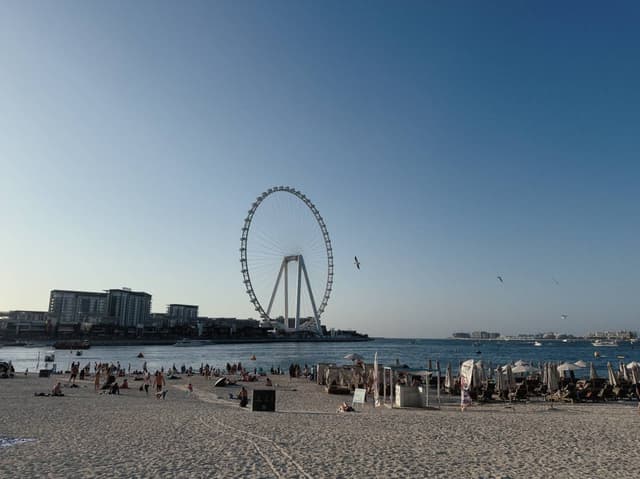 Photo 1 by Alexandru-Cezar S. (2/27/26)