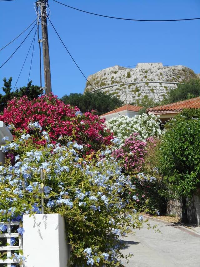 Foto 4 di giuseppe P. (01/07/25)