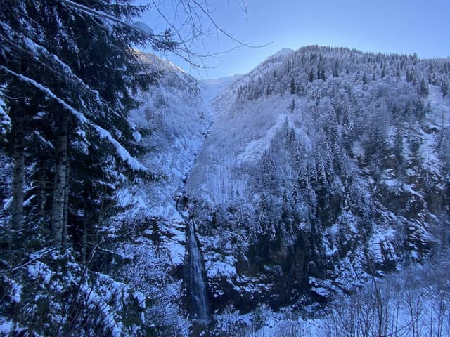 Photo 4 by Mustafa G. (1/8/24)