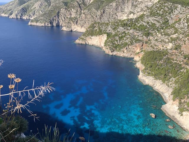 Foto 4 van Michel E. (27-10-24)