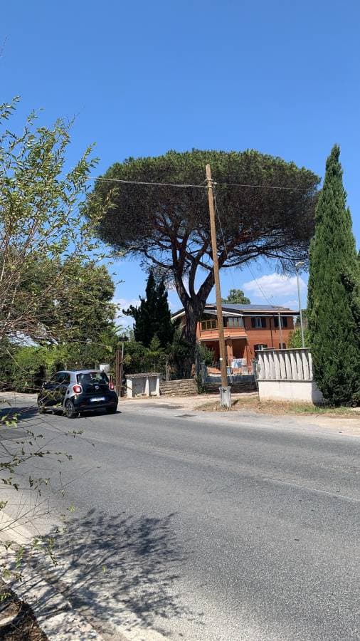 Photo 2 by Shuyan D. about renting a Fiat Panda in Rome (8/27/24)