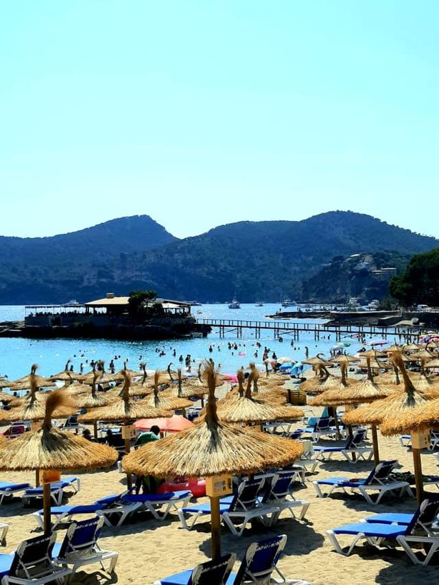 Foto 1 de Joaquim T. sobre o aluguer de um Fiat 500 em Maiorca (26/07/22)
