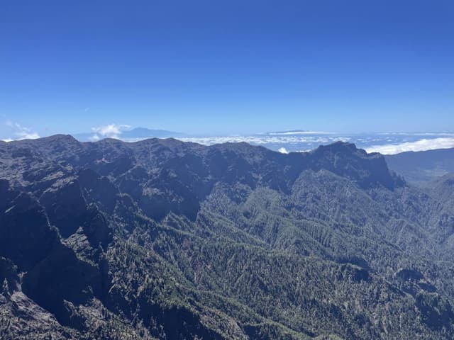 Photo 1 by William Paul S. (5/12/26)