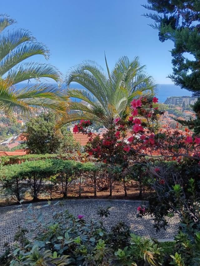 Photo 2 par Carlos Manuel D. (24/10/25)