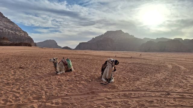 Foto 4 od Renata S. (14. 2. 26)