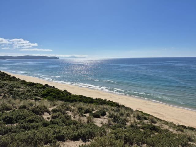 Photo 1 by Chee Kong Y. (1/10/26)