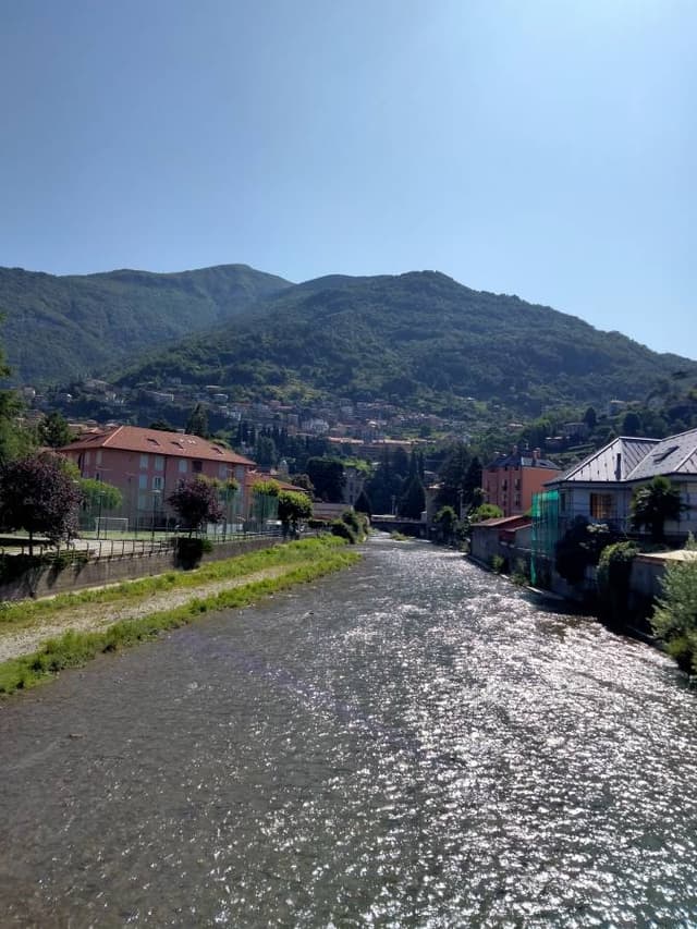 Billede 2 af andy wojtczak S. (7/12/23)