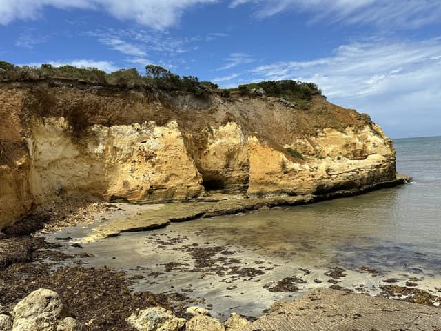 Photo by Chiung-Ta L. (1/8/26)