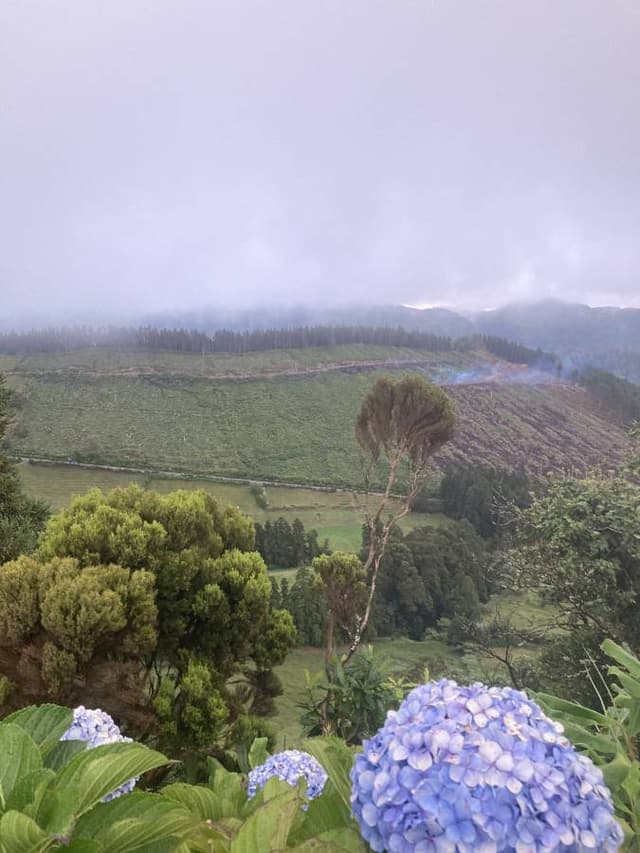 Foto de Fernando Jose R. sobre el alquiler de un Volkswagen T-Cross en Portugal Islas Azores (21/9/24)