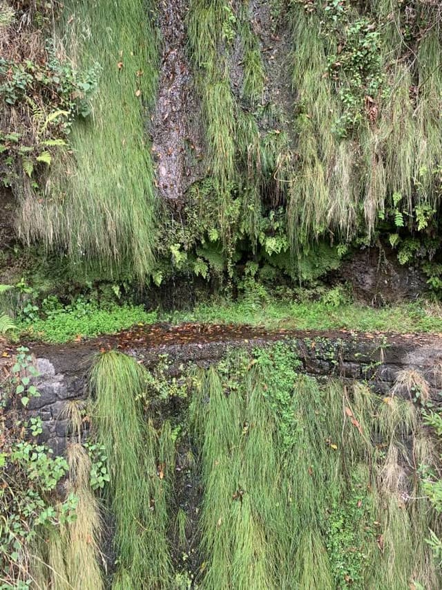 Foto 3 van Pieternella B. (17-10-24)