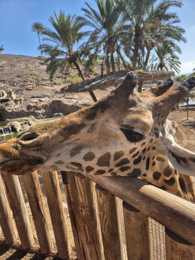 Foto 8 od Roman P. (7. 12. 25)