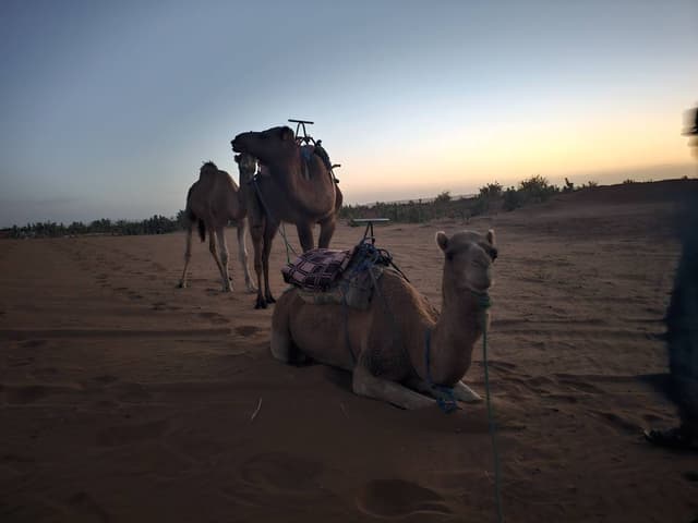 Photo 2 by Walter M. (12/5/25)