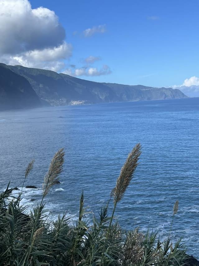 Photo 1 by Niall W. (10/26/25)