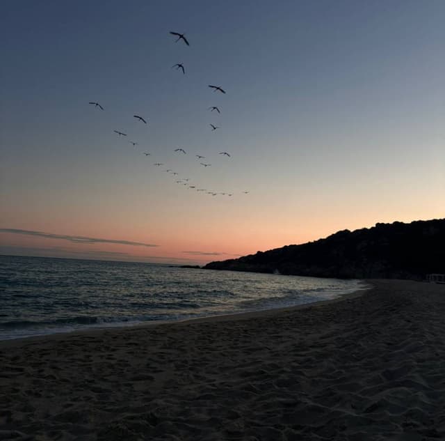 Foto 1 von Vitali A. (26.10.25)