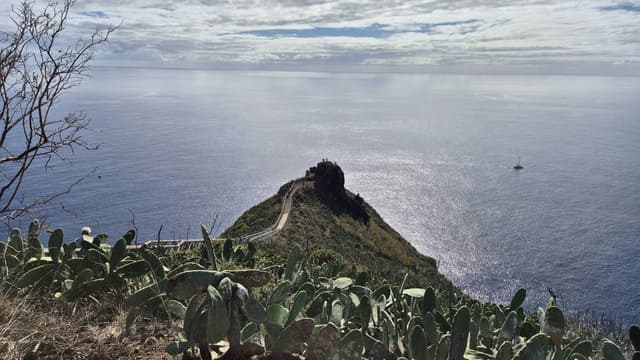 Photo 2 by Carlos Jose D. (11/16/25)