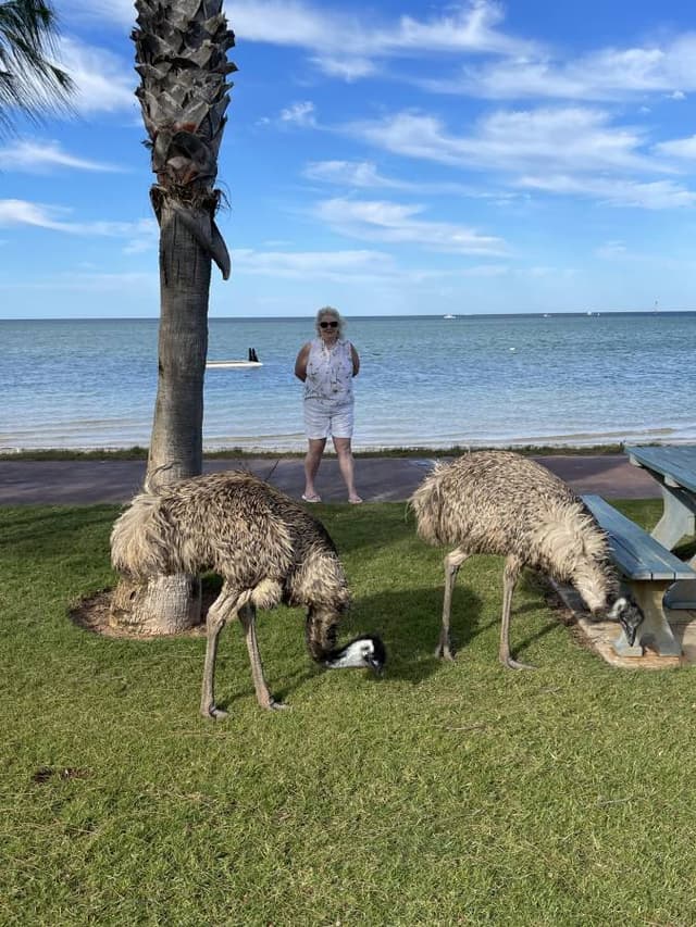 Photo 1 by Geoffrey H. about hiring a Mitsubishi ASX at Perth Airport (29/04/23)