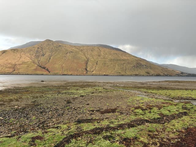 Photo 1 par Valerie D. (14/04/26)