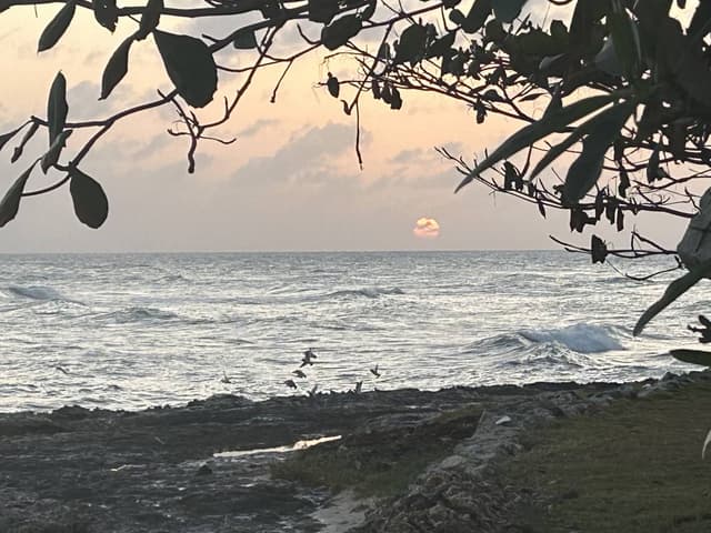 Photo 1 by William D. about hiring a Suzuki Ciaz at Bridgetown Airport (19.03.24)