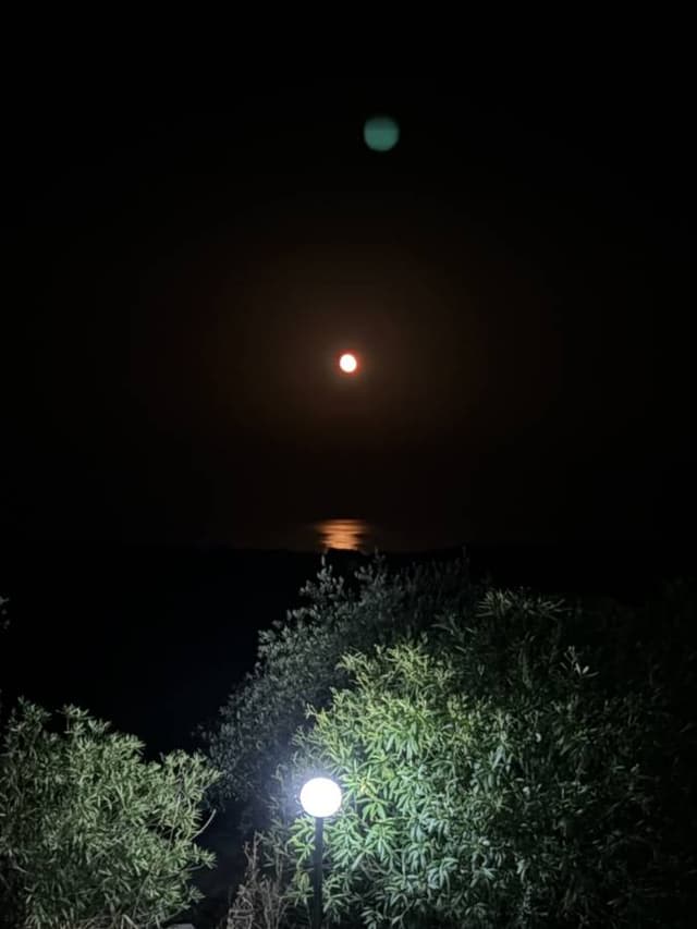 Zdjęcie 2 wykonane przez Karol C. (10.08.26)