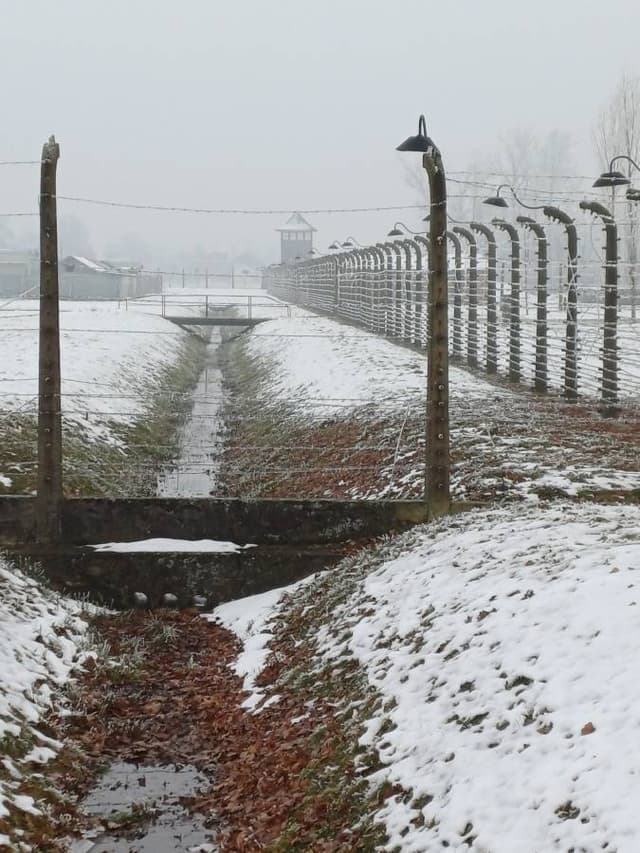 Photo 1 by John O. (12/7/25)