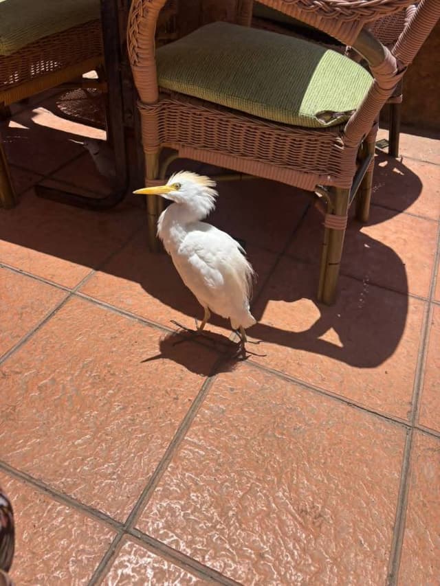 Photo 5 by Susan R. (5/24/26)