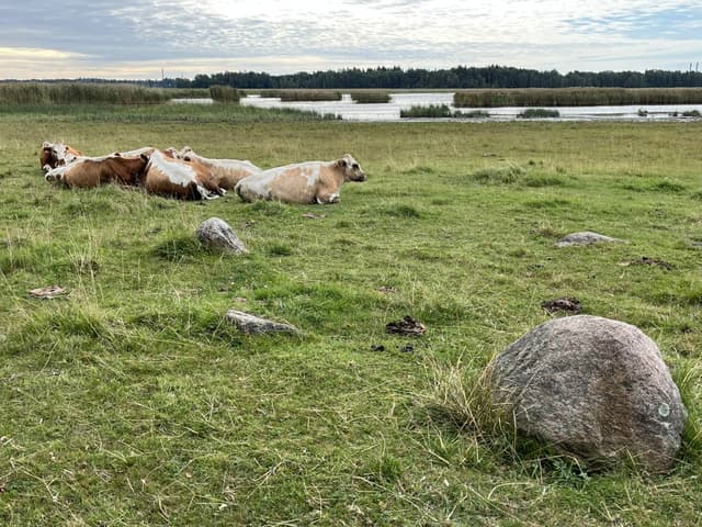 Foto 1 van Jan H. (15-8-26)