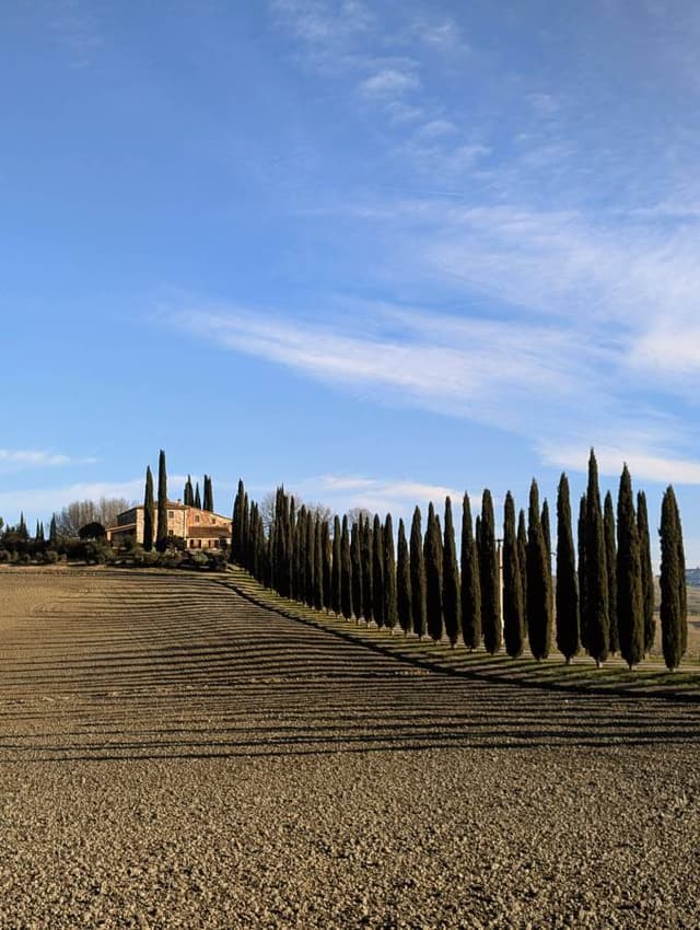 Photo 3 by Kalakota Shravan Kumar R. about hiring a Toyota C-HR at Florence Airport (01/01/25)