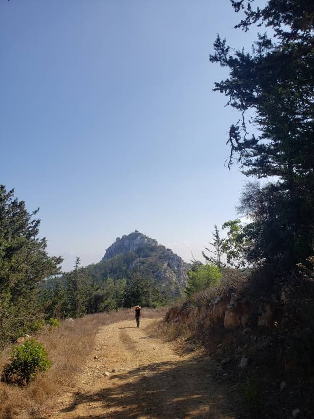 Photo 1 by Steven M. (9/11/23)