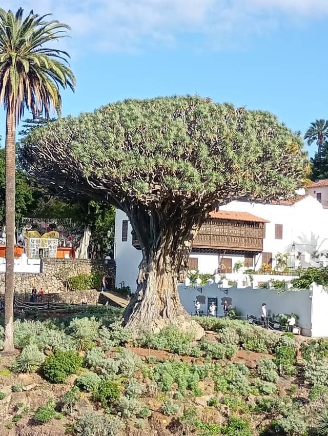 Foto 9 di Massimo D. (04/01/26)