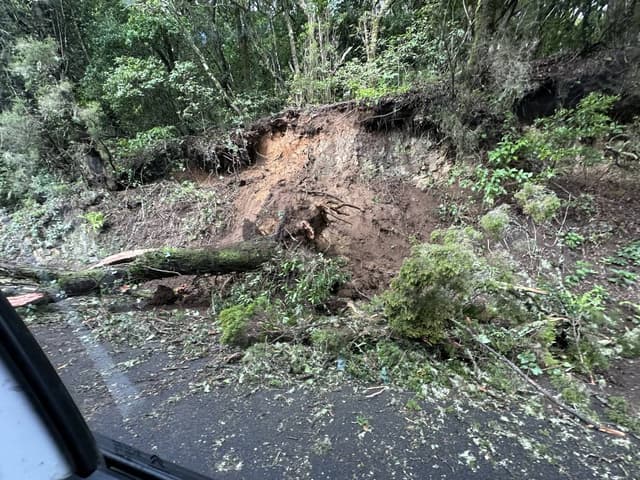 Photo 1 by Jelena K. (1/13/26)