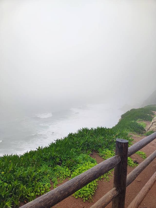 Foto 4 di Matteo G. (04/02/26)