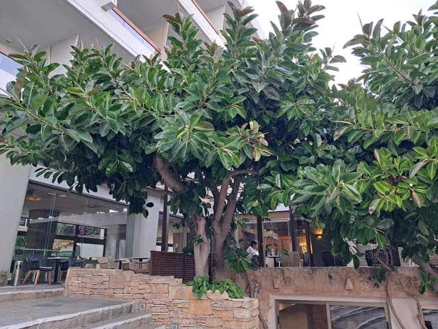 Photo 2 by Pasko P. (10/19/25)