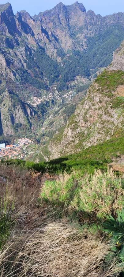 Photo 2 by Shawn S. about renting a Fiat 500 in Funchal (Downtown) (11/24/23)