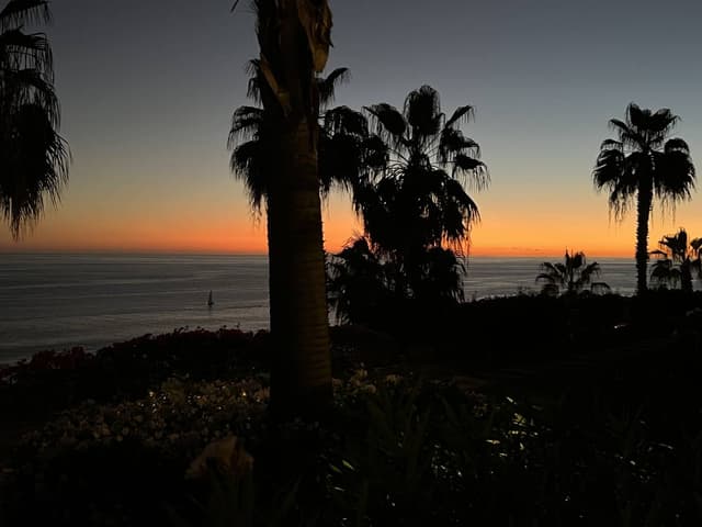 Photo 3 by Tina Dan W. (12/4/25)