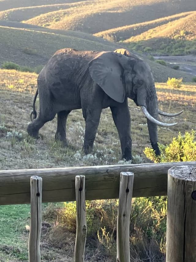 Photo by Barry V. about hiring a Toyota Corolla in South Africa (10/03/26)