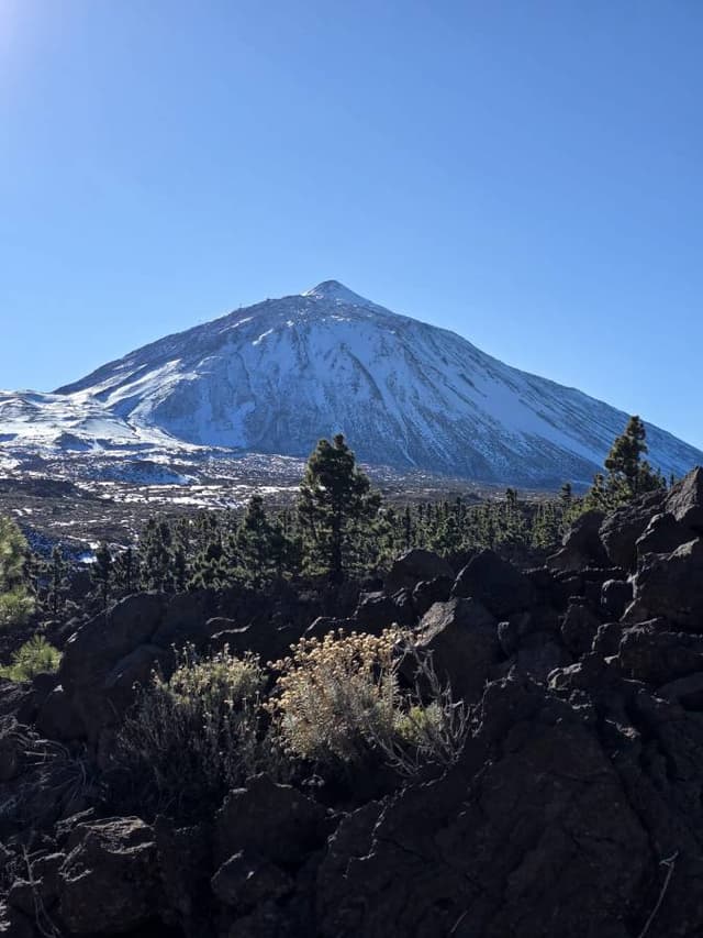 Photo by Maria M. (12/27/25)