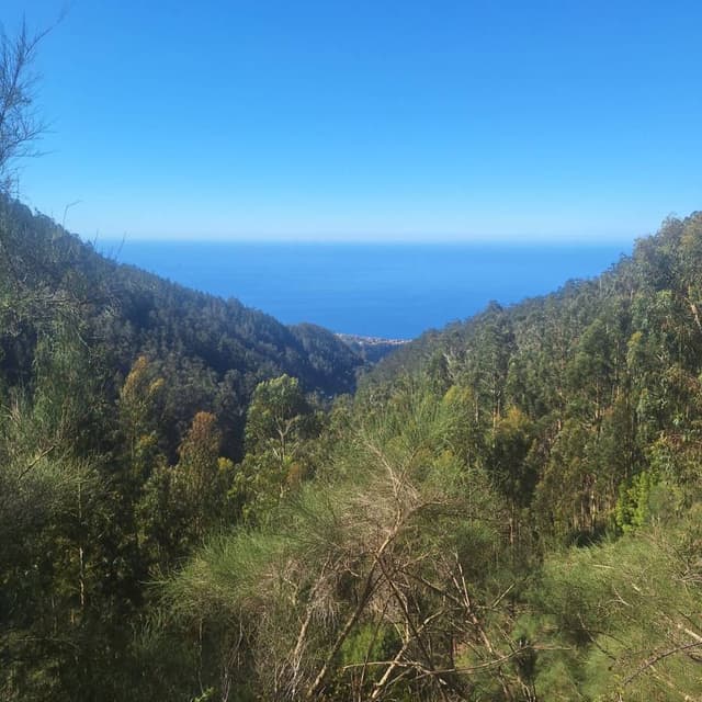 Foto 4 van Johan T. (5-4-26)