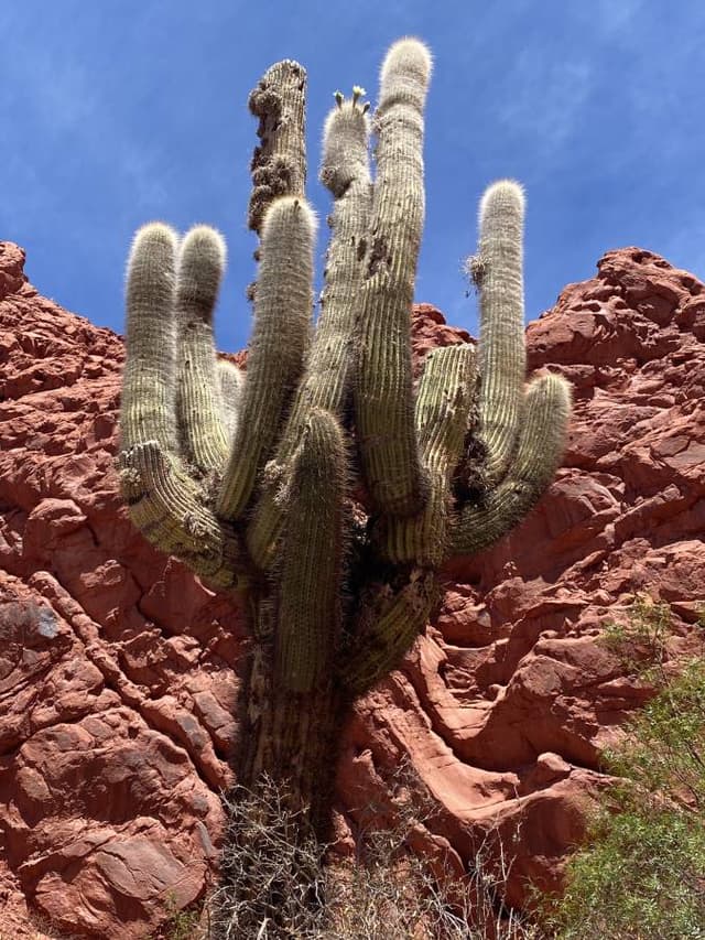 Photo 5 by Peter J. (11/5/25)