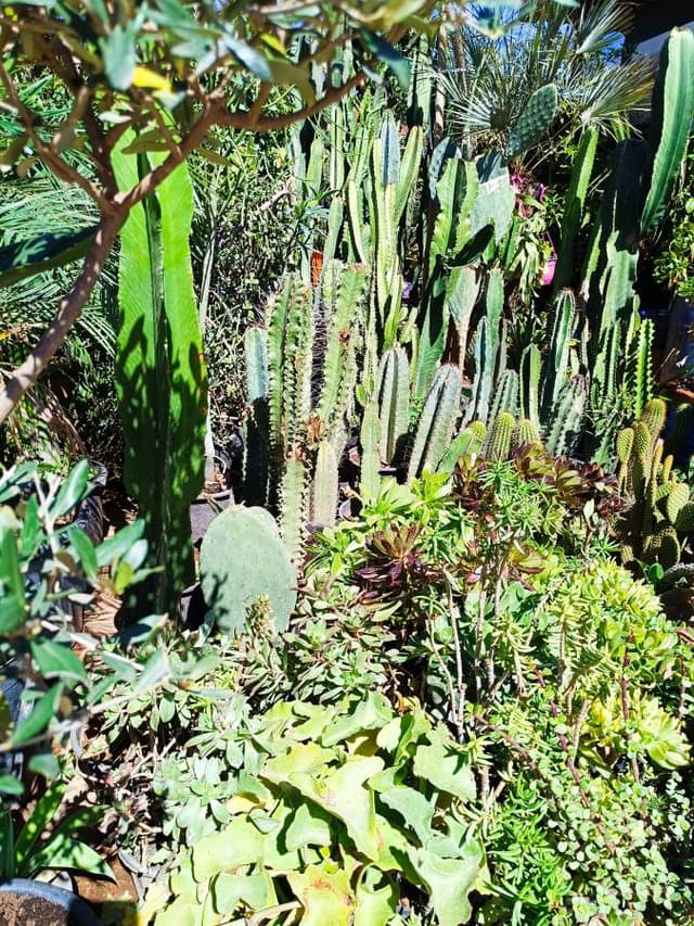 Zdjęcie 7 wykonane przez HENRYK STANISLAW D. (25.03.26)