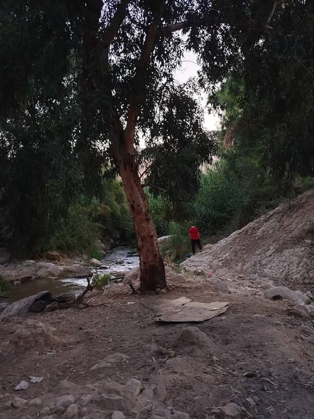 Photo by Ashraf M. about renting a Hyundai Ioniq Hybrid in Jordan (9/4/23)