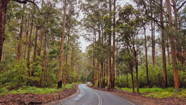 Photo 8 by Fiona P. about hiring a Mitsubishi ASX in Australia (14/11/25)