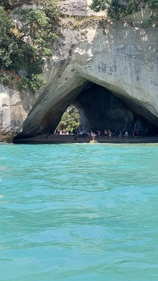 Photo 5 by Julie D. about renting a Toyota Aqua at Auckland Airport (1/30/25)
