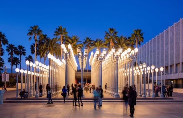 Photo 1 by Fay H. (1/27/24)