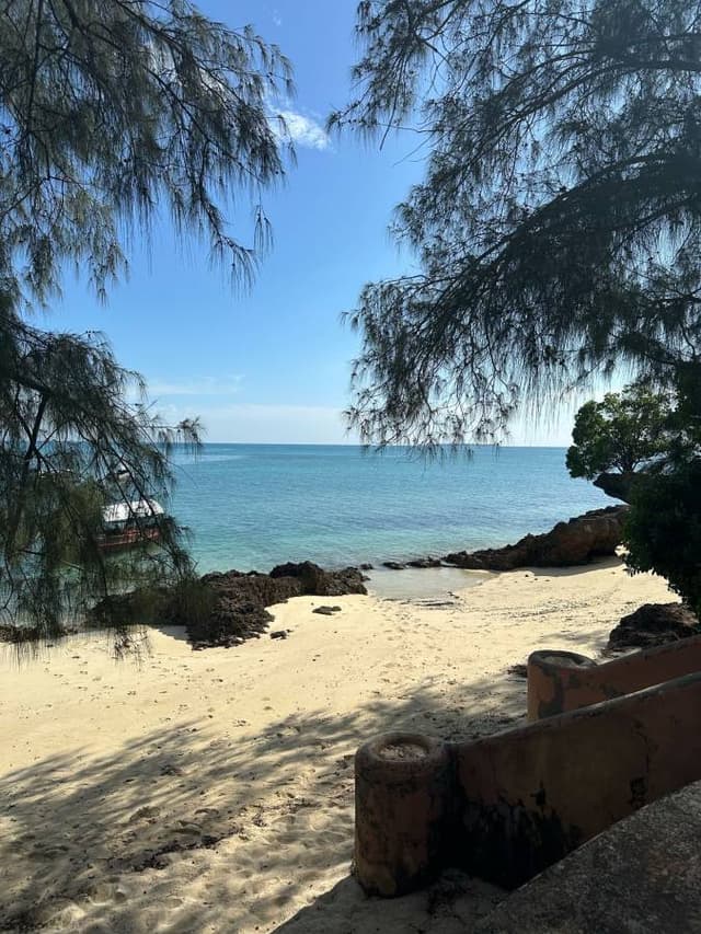 Photo 5 par Samira A. sur la location d'un Skoda Kodiaq à Zanzibar (09/03/24)