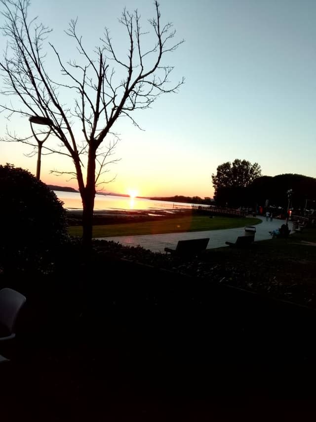 Photo 1 by Paul D. (9/30/26)