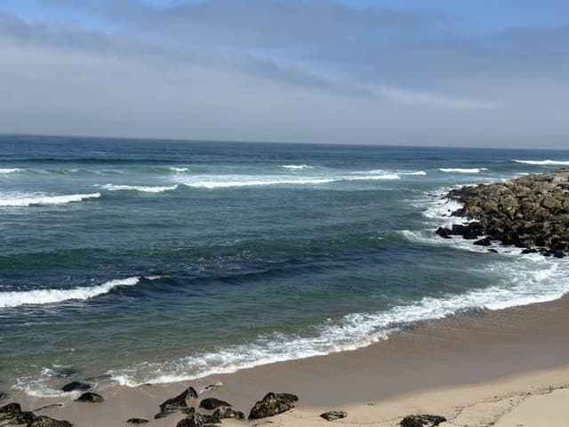 Photo 2 by Lucie B. (9/1/26)
